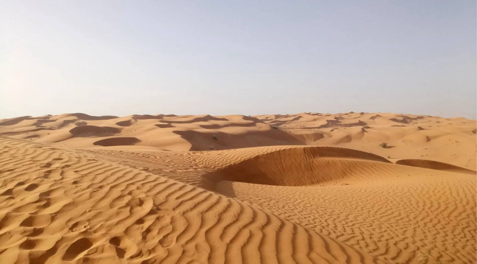Ripple-marked Sahara dunes stretching to the horizon under a pale sky