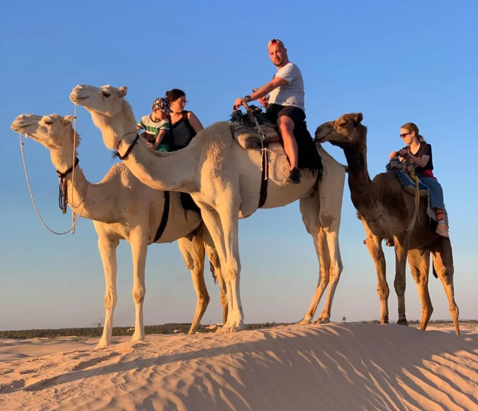 A family riding camels along a dune crest in late afternoon light