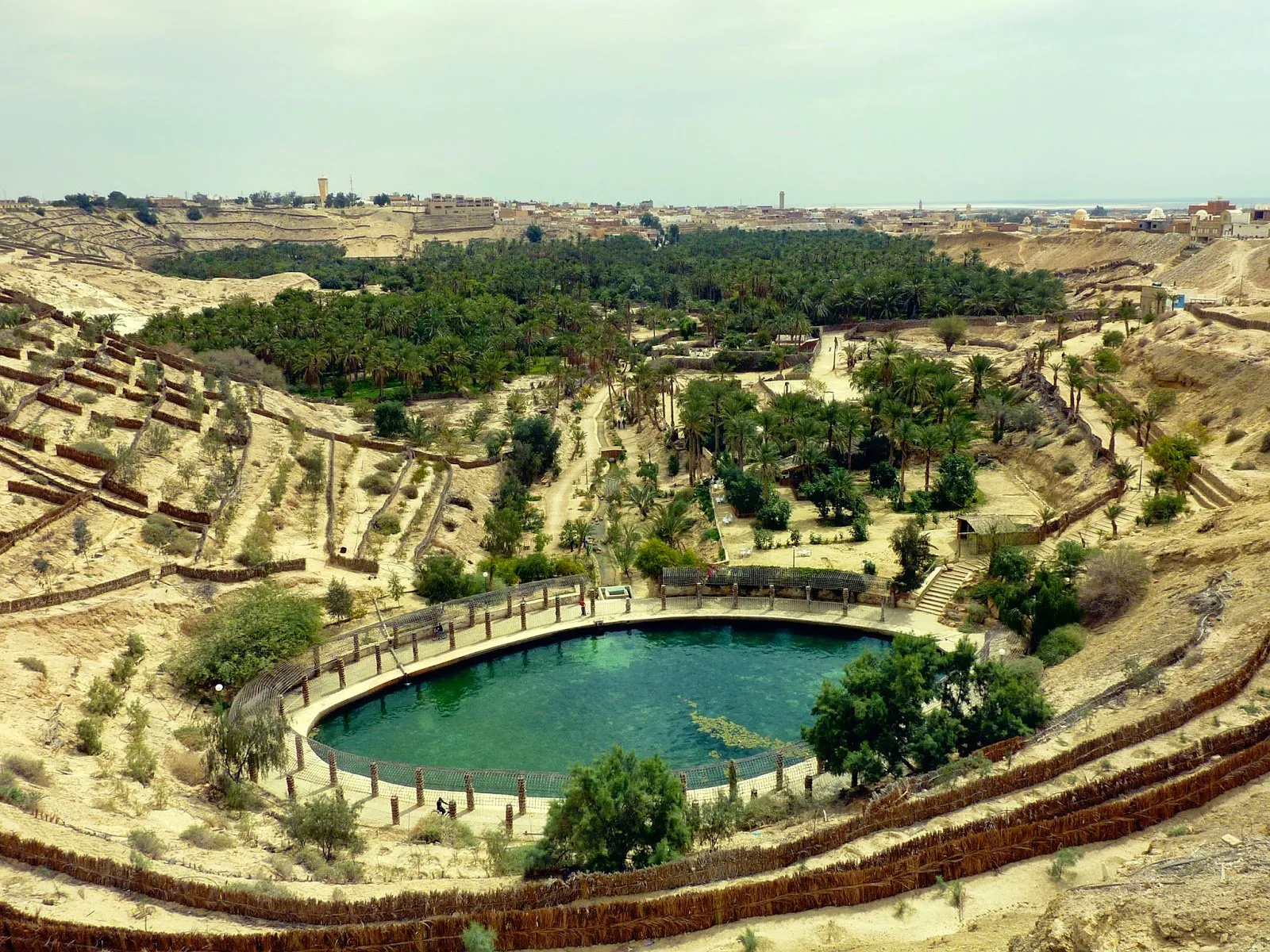 The Corbeille de Nefta seen from above, a green palm bowl sunk into the desert