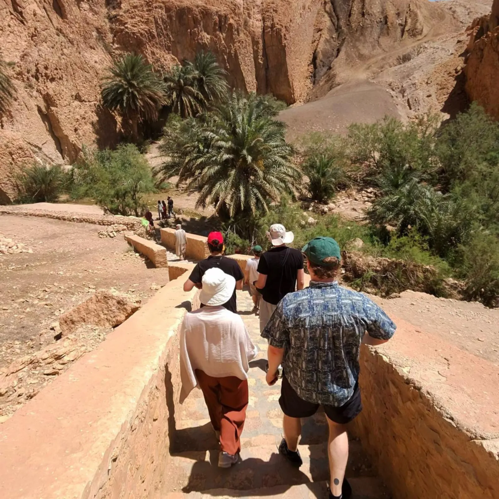 The group walking down the stone path into the palm grove at Chebika