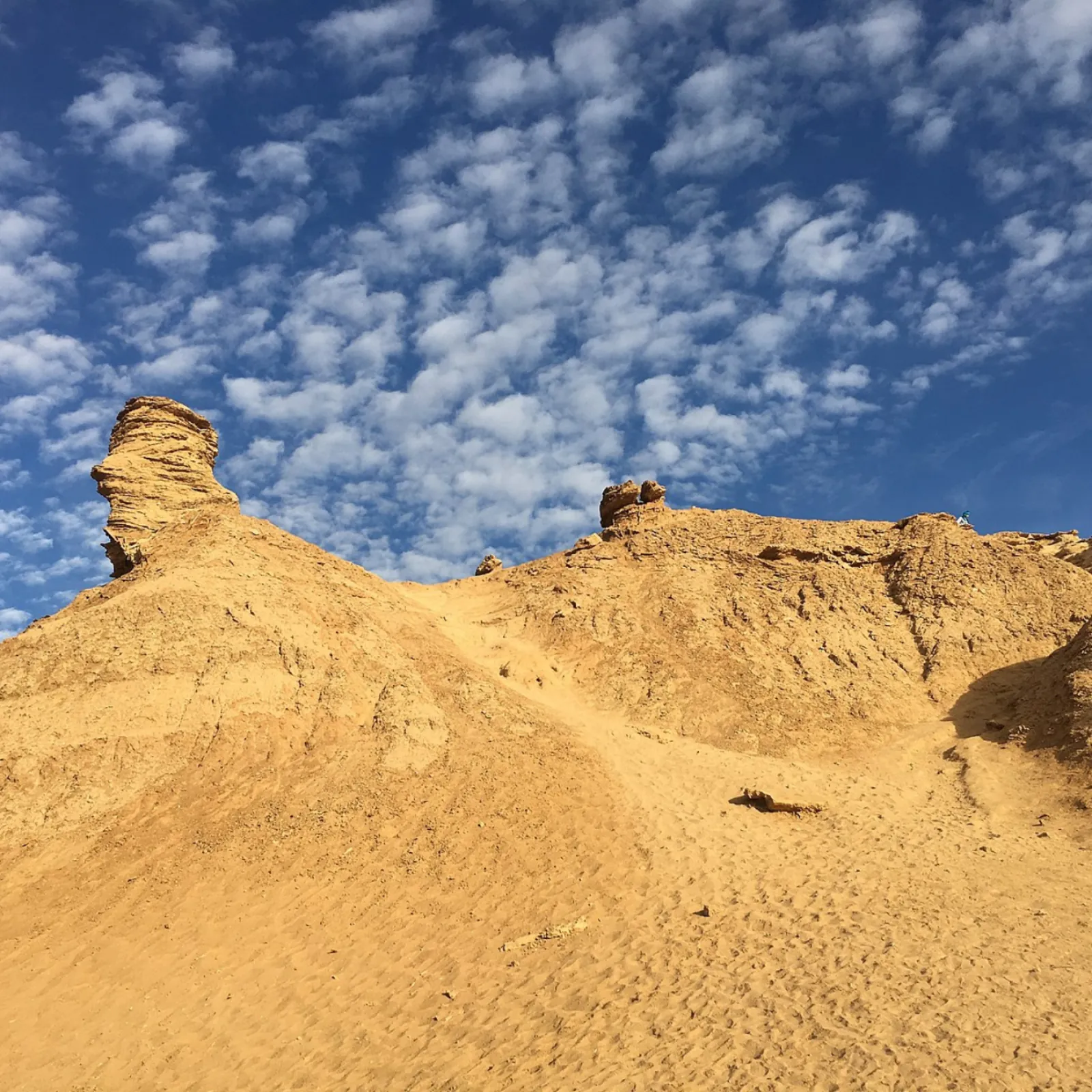 The Ong Jmal rock formation, shaped like a kneeling camel, above the desert floor