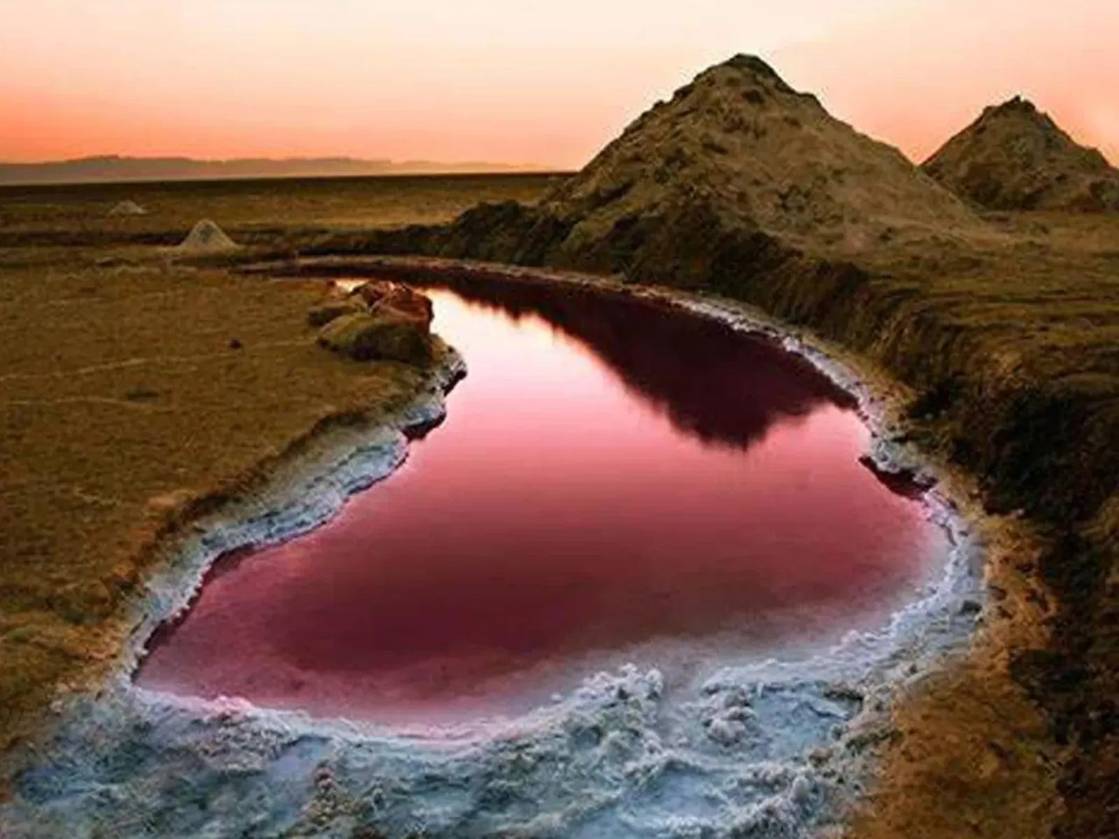 A pink salt pool on the Chott el Djerid at dusk, rimmed with white crust