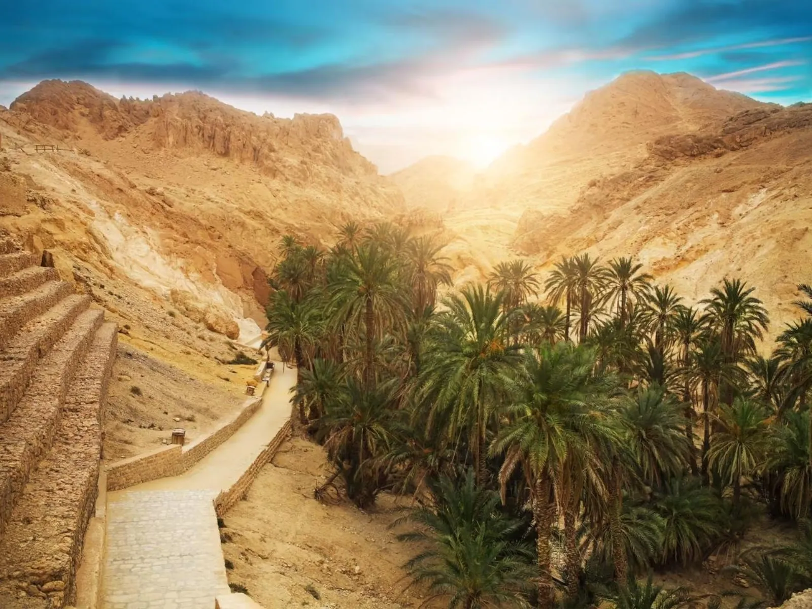The palm grove of the Chebika oasis filling its gorge at sunrise