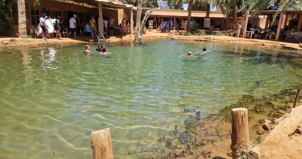 Swimmers in the warm spring pool at Ksar Ghilane, with palms and a café terrace behind it.